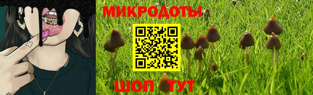 Когалым  что такое   Вход с VPN  Псилоцибиновые грибы прущие грибы 